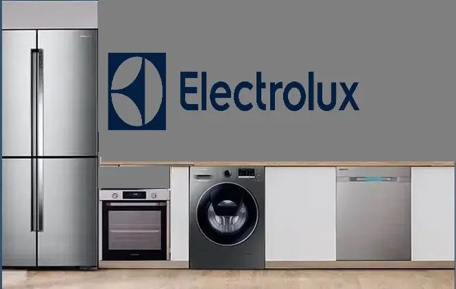 Esenler Electrolux servisi