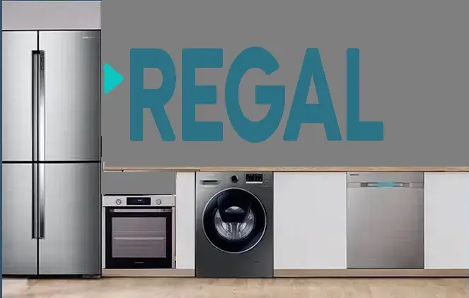 Esenler Regal servisi